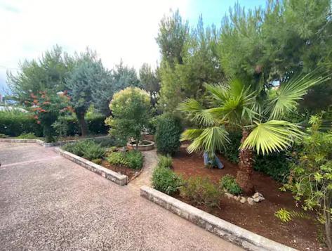 Villa Adelaide Ceglie Messapica Exterior foto